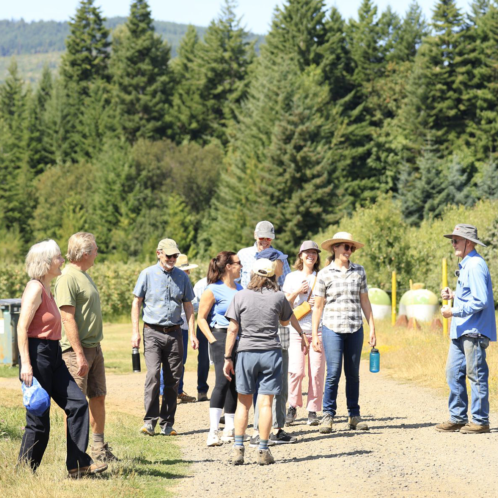 Pear Tour Highlights