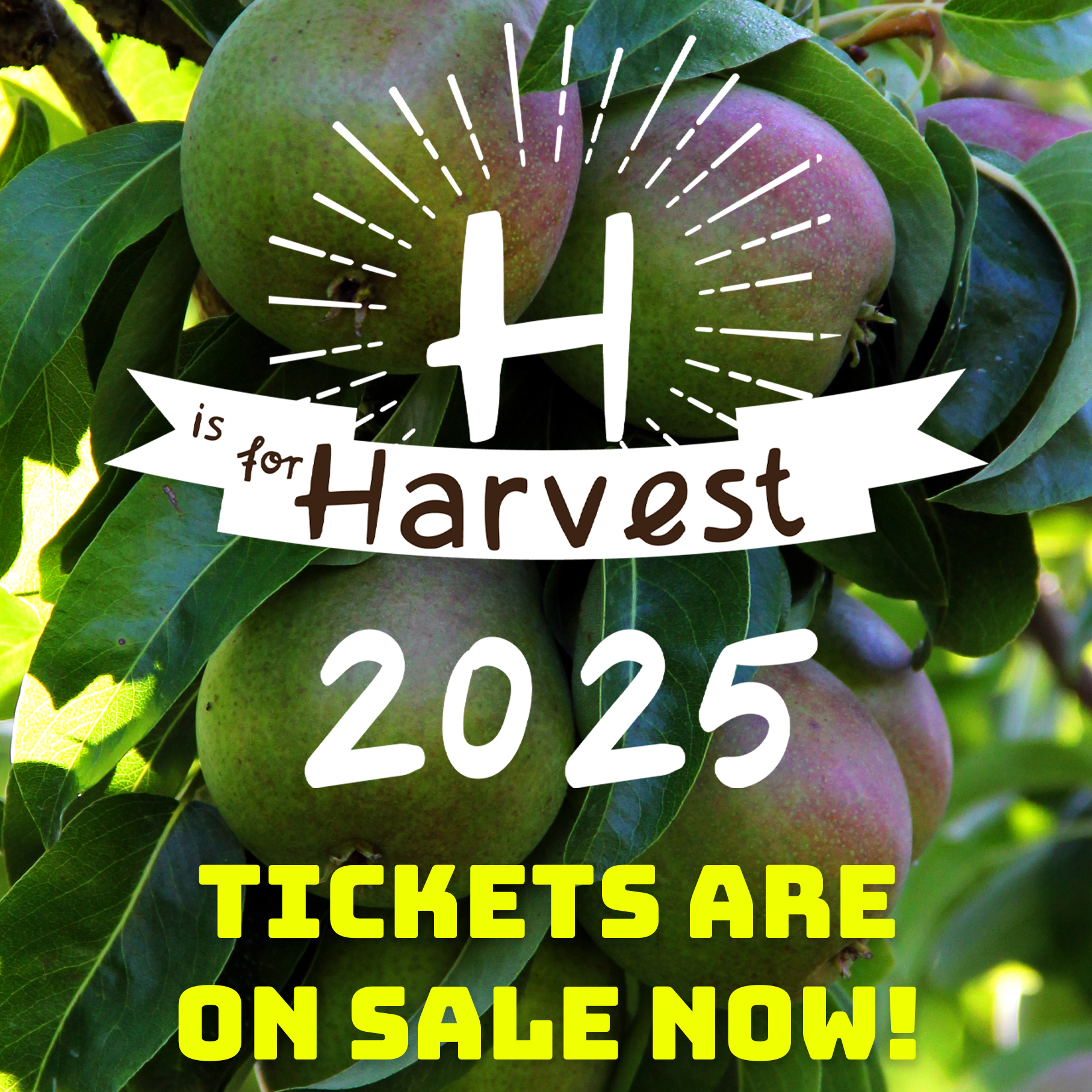 Tickets are on sale for H is for Harvest 2025